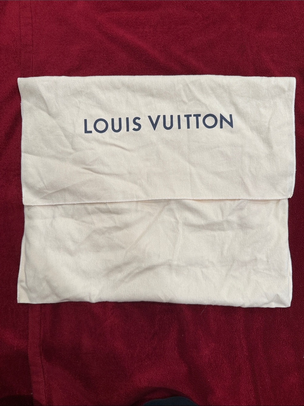 Louis Vuitton Black Pebbled Leather Backpack with Gold LV Hardware - Picture 4 of 4
